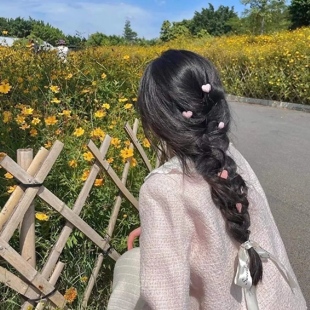 魅力航班
